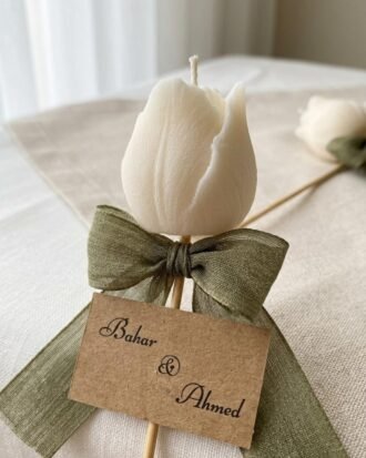 Tulip Love